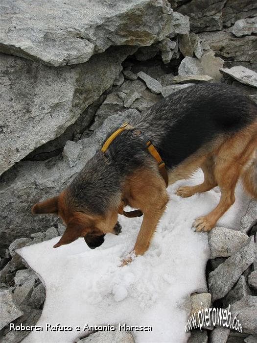 40 prima neve verso il Rifugio Vedrette di Ries.JPG